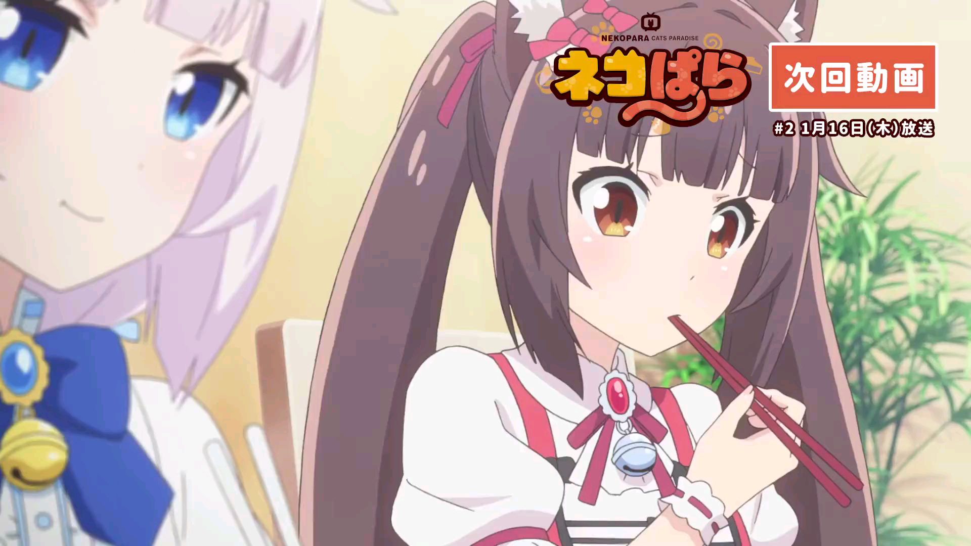 【1月】猫娘乐园 第2话 予告